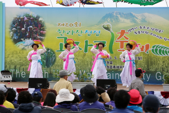 한라산 청정 고사리 축제